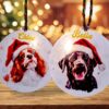 Christmas Pet Bauble