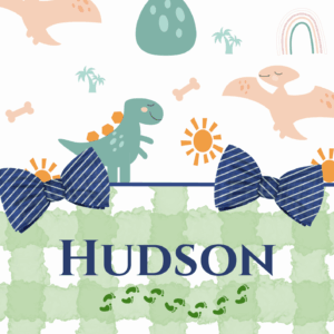 Personalised Extra-Large Baby Bibs – Made to Order - Single Bib 🍼✨ - Dinosaurs